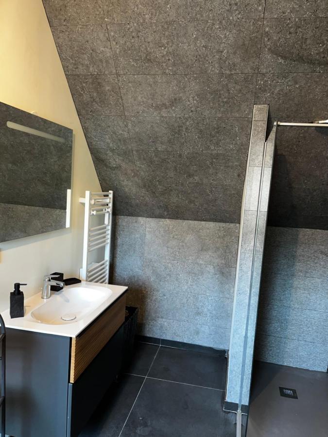 Magnifique Duplex Avec Jaccuzi, Sauna Et Cinema Room Privatif Fontenoy  Eksteriør bilde